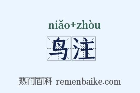 鸟注是什么意思的图片